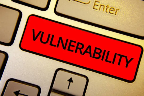 NTITS Institute Cyber Security Course featuring vulnerability asessment